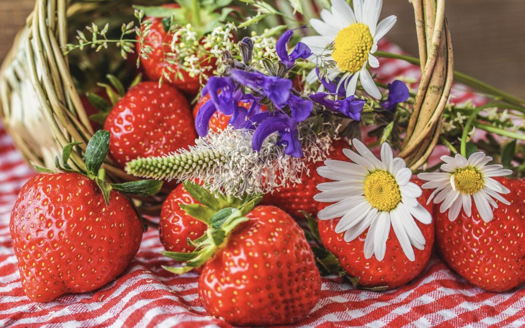 Städutbildning Lokalvårdsutbildning Diplomerade Kurser Borago