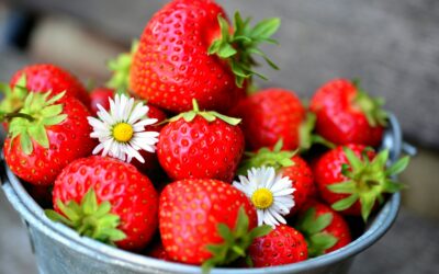 Glad sommar önskar Borago!